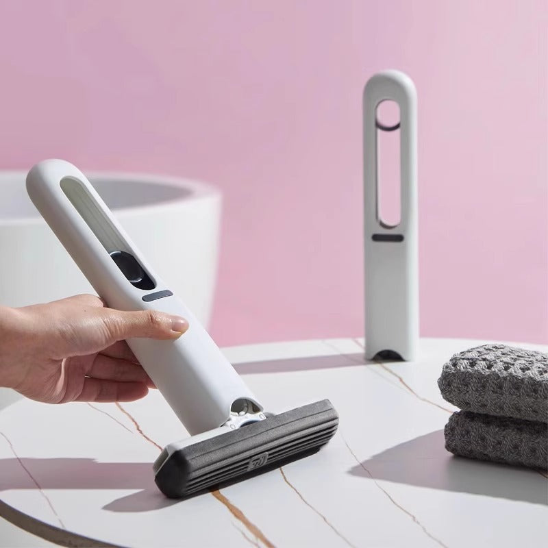 mini mop sponge