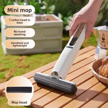 mini mop sponge