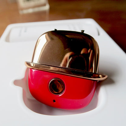 Mini Negative Ion Air Purifier Wearable Necklace