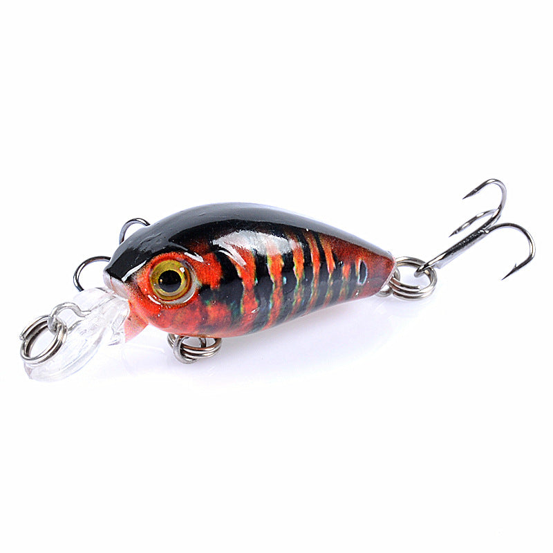 Mini plastic perch and eel hard bait