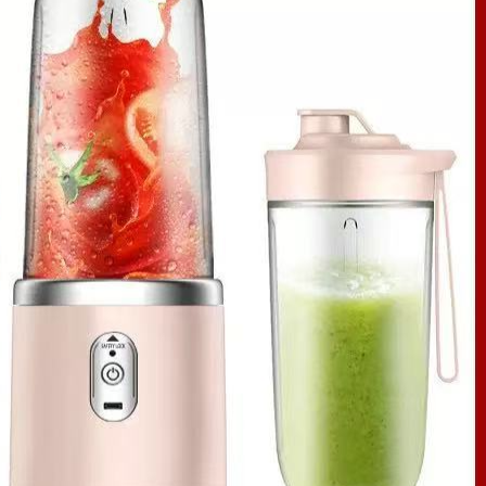 Mini Portable Juicer