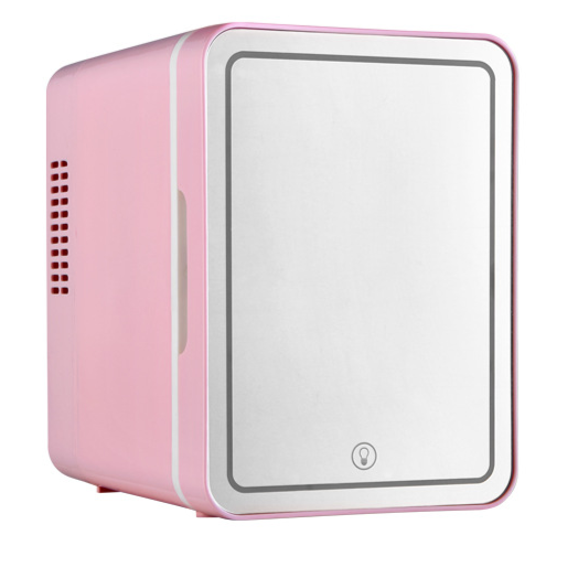 Mini Refrigerator