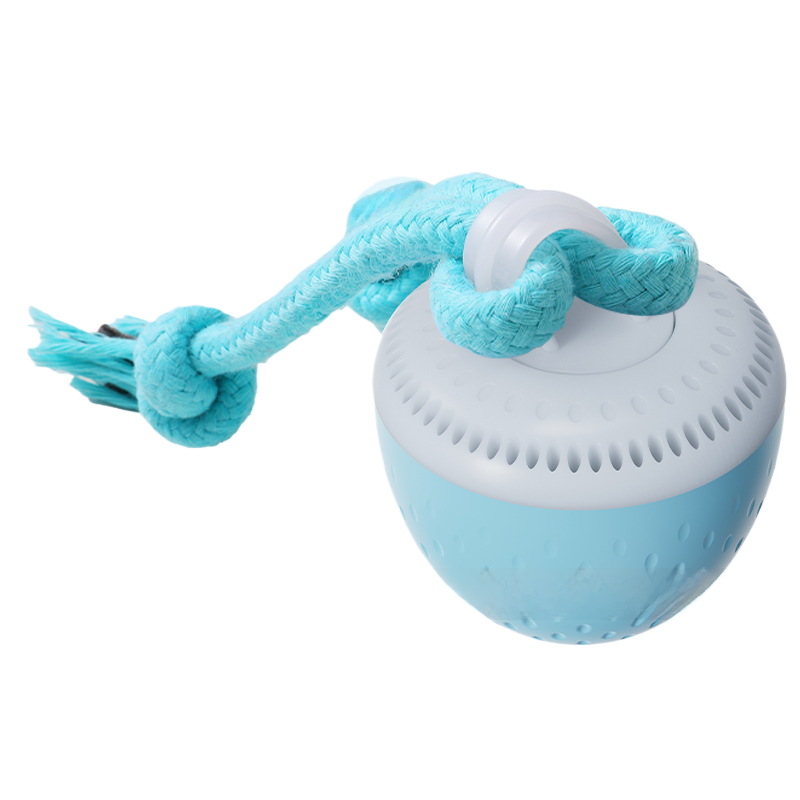 Miniature Automatic Pet Ball