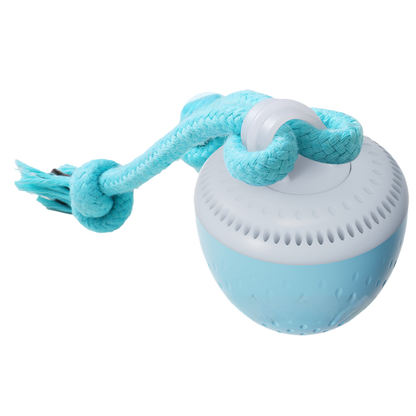 Miniature Automatic Pet Ball