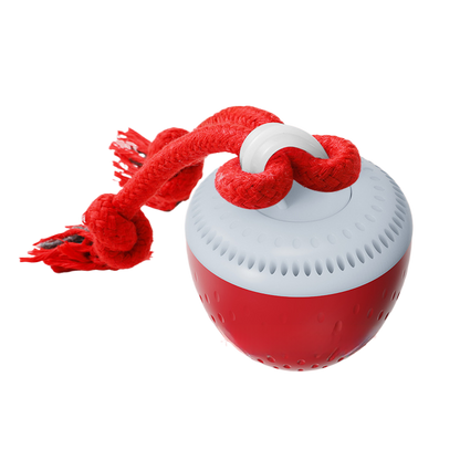 Miniature Automatic Pet Ball