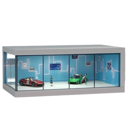 Miniature Display Case