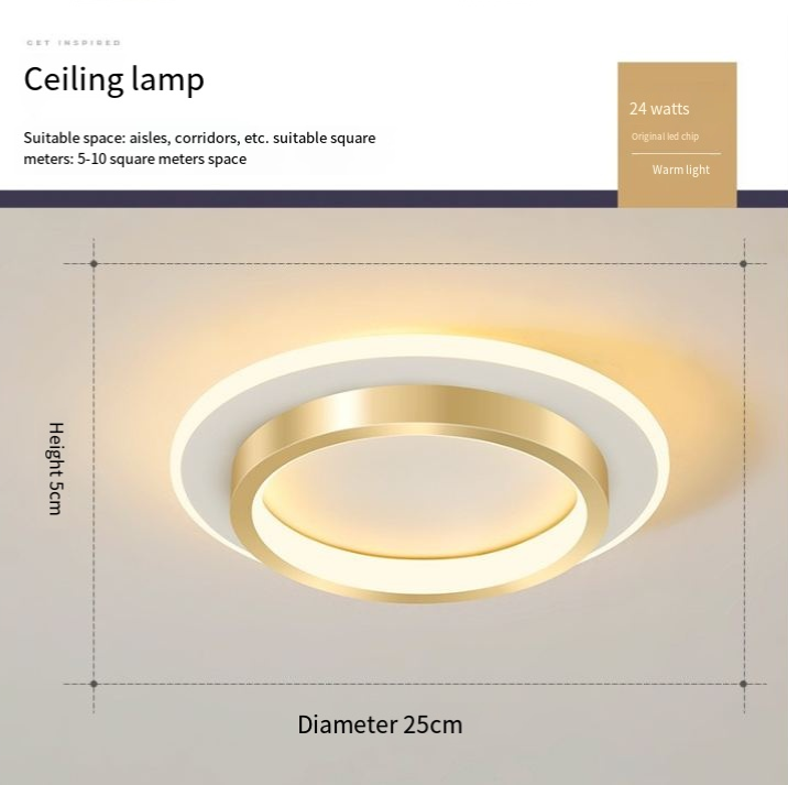 Minimalist LED Ceiling Lamp