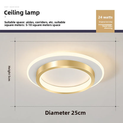 Minimalist LED Ceiling Lamp