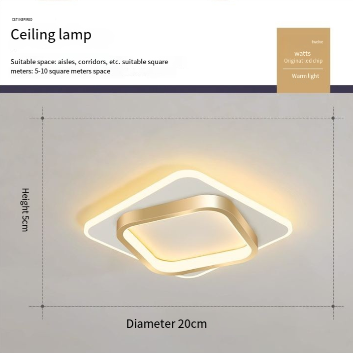 Minimalist LED Ceiling Lamp