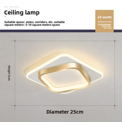 Minimalist LED Ceiling Lamp