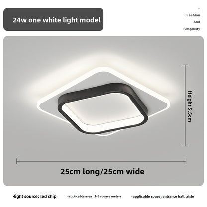 Minimalist LED Ceiling Lamp