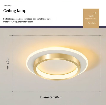 Minimalist LED Ceiling Lamp