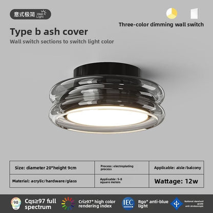Minimalist Smart Ceiling Lamp