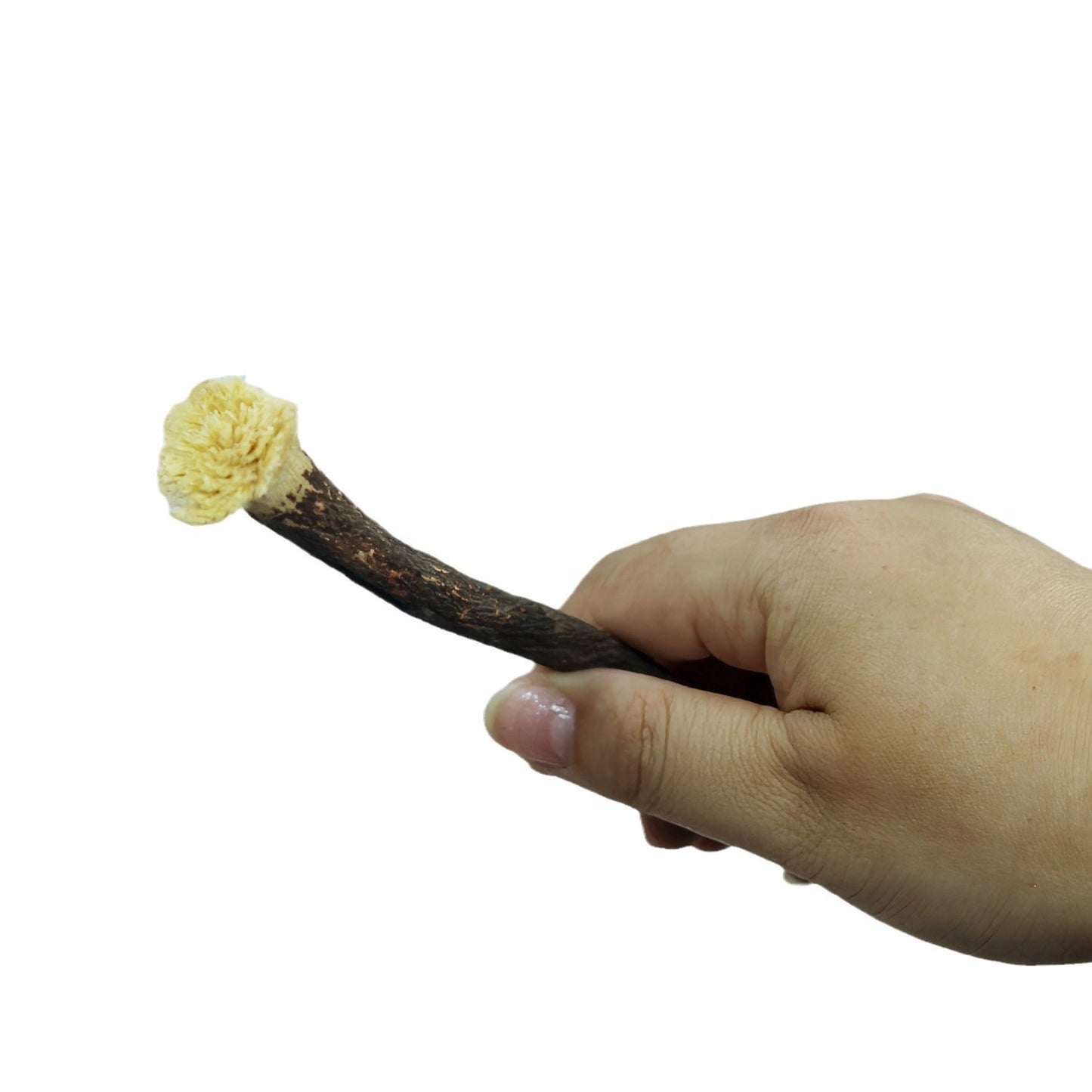 miswak tooth stick