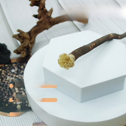 miswak tooth stick