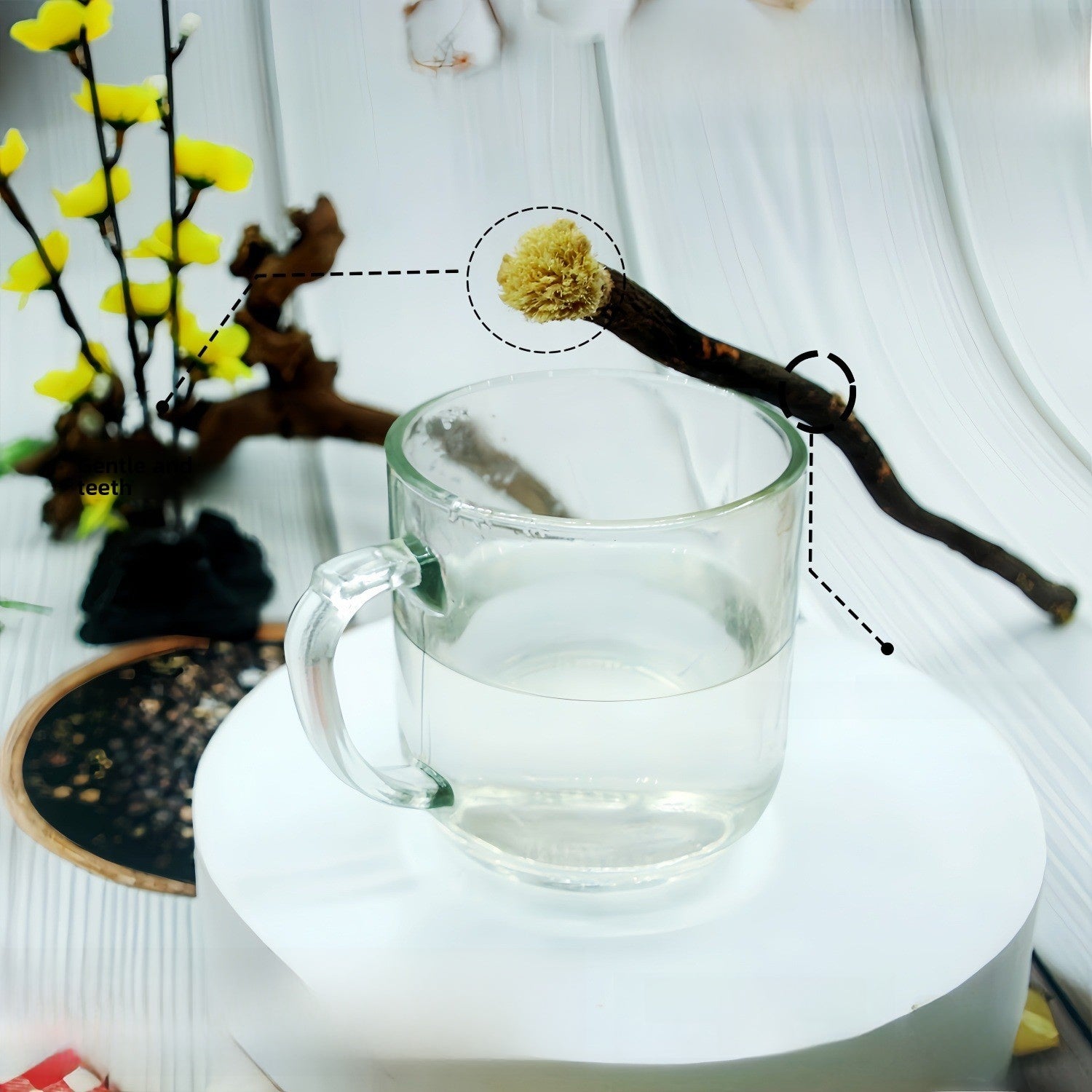 miswak tooth stick