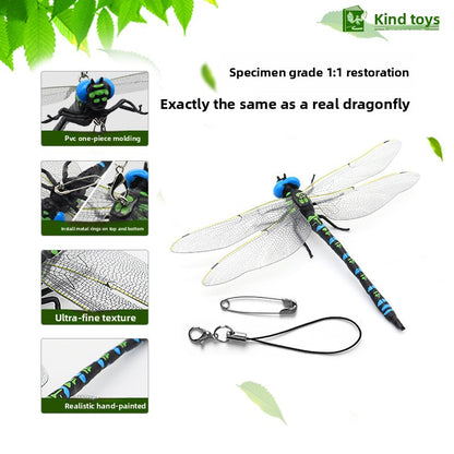 Modeling of dragonfly handicrafts