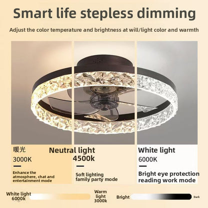 Modern Ceiling Fan Light with LED
