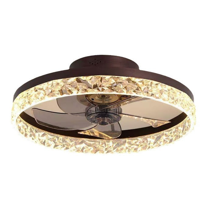 Modern Ceiling Fan Light with LED