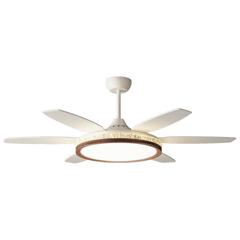 Modern Ceiling Fan with Light