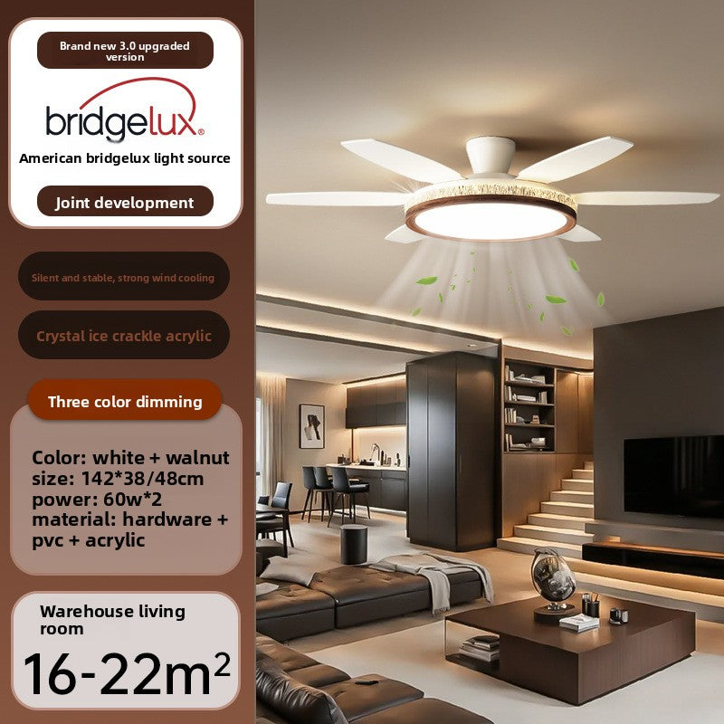Modern Ceiling Fan with Light