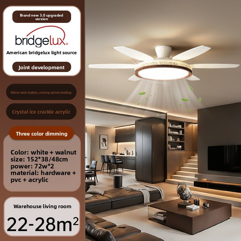 Modern Ceiling Fan with Light