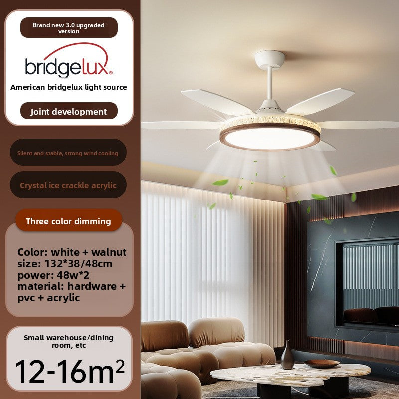 Modern Ceiling Fan with Light
