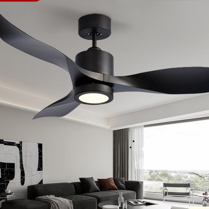 Modern Ceiling Fan with Light Remote Control