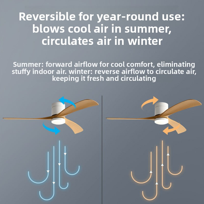 Modern Integrated Ceiling Fan with Light