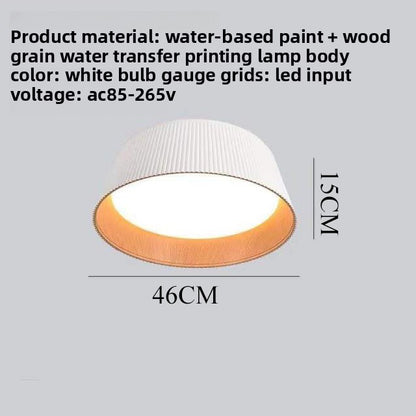 Modern Italian Minimalist Full Spectrum LED Ceiling Lamp