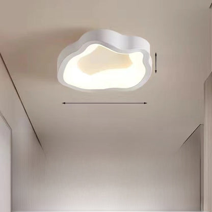 Modern LED Ceiling Lamp