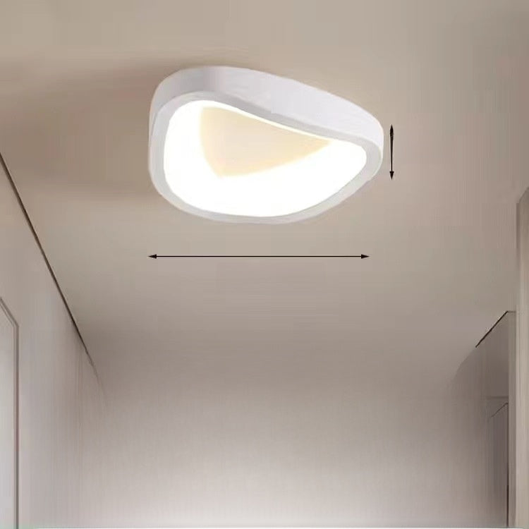 Modern LED Ceiling Lamp