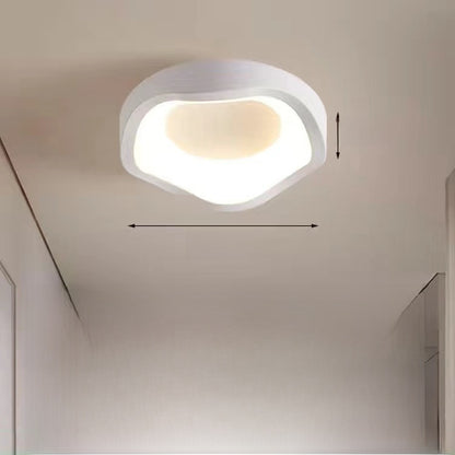 Modern LED Ceiling Lamp