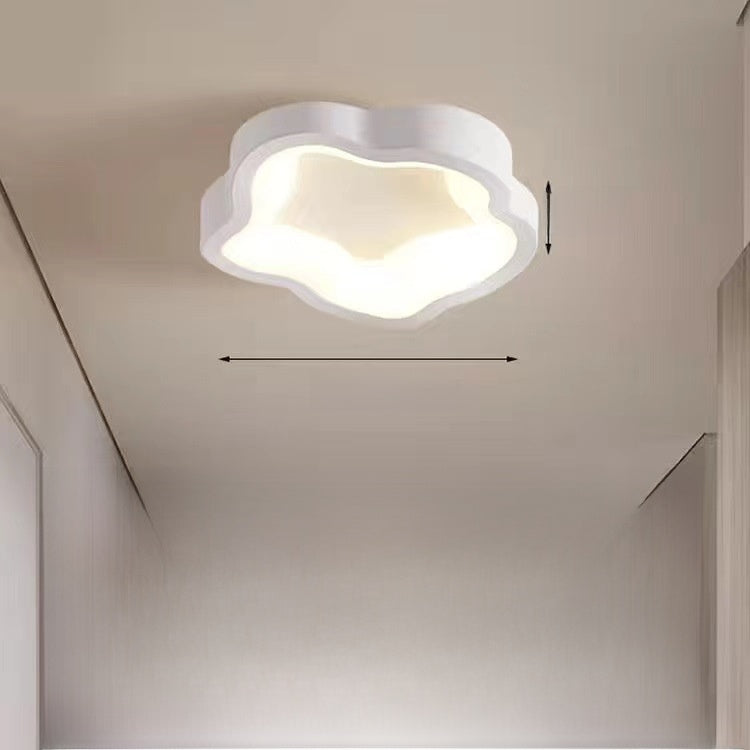 Modern LED Ceiling Lamp