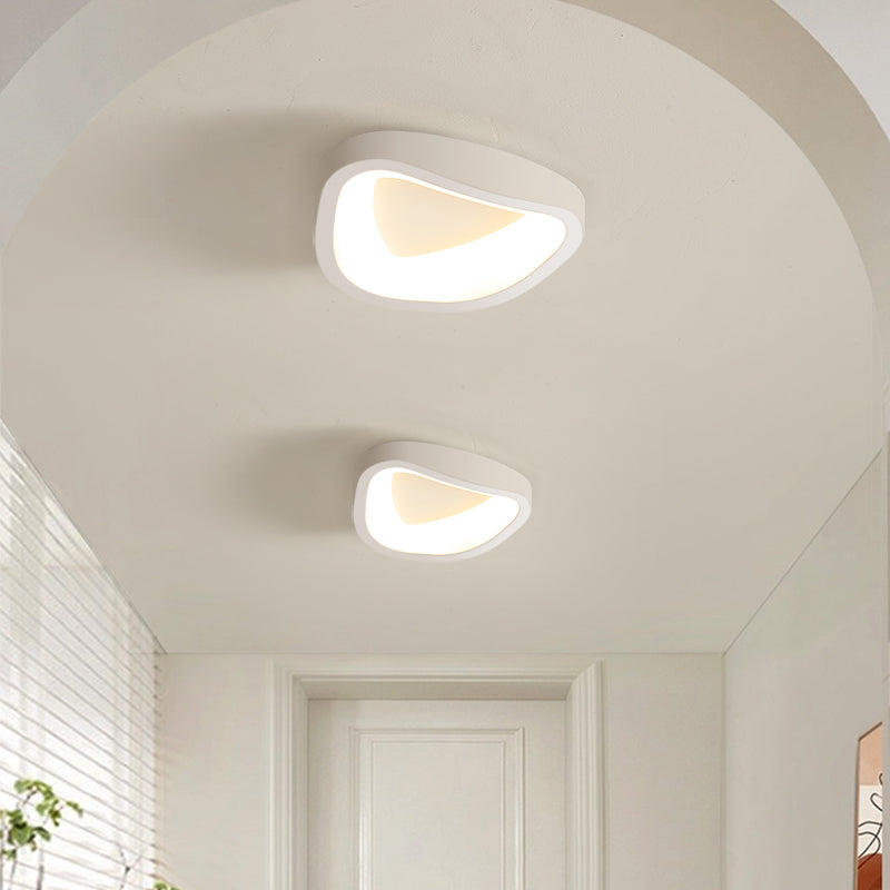 Modern LED Ceiling Lamp
