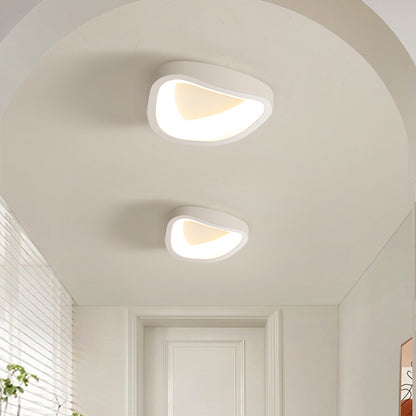 Modern LED Ceiling Lamp