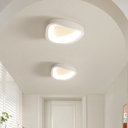 Modern LED Ceiling Lamp