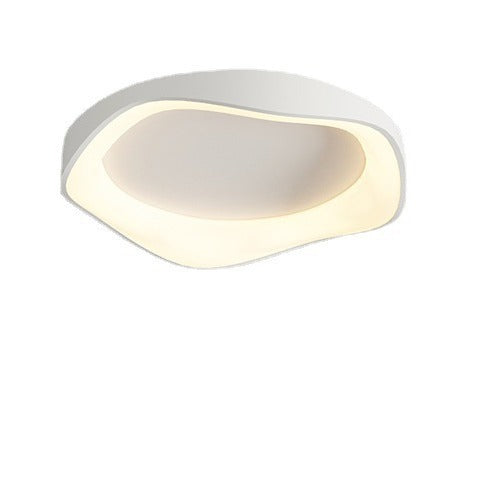 Modern LED Ceiling Lamp