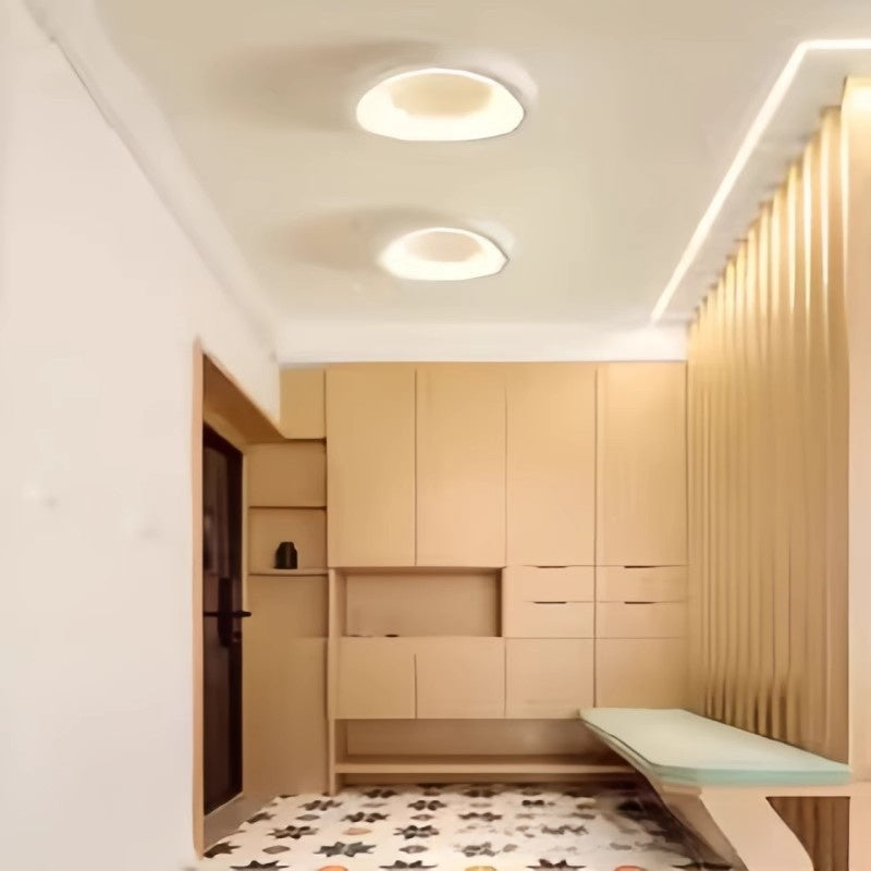 Modern LED Ceiling Lamp