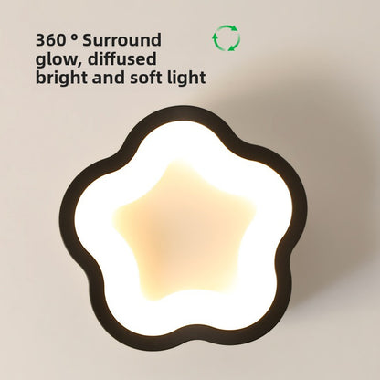 Modern LED Ceiling Light for Corridor and Entryway