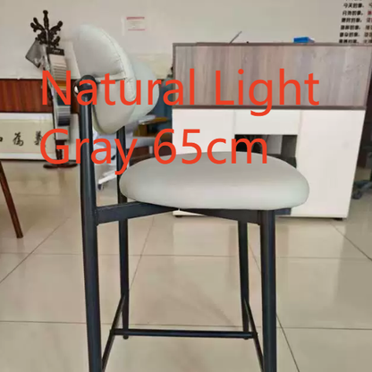 Modern Metal Bar Stool