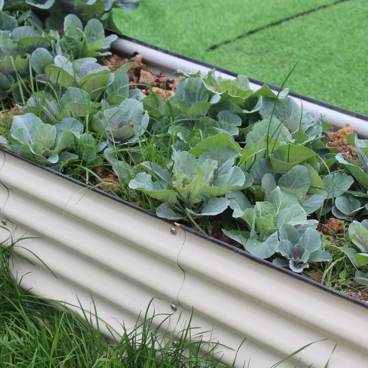 Modular Metal Garden Planting Beds