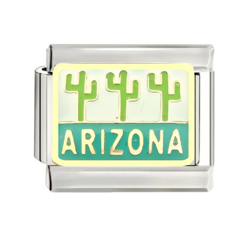 Module bracelet