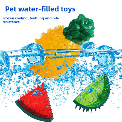 Molar Toy