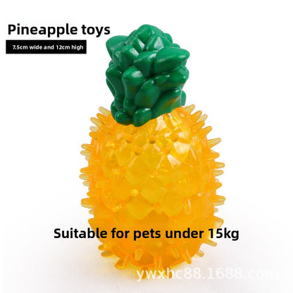 Molar Toy