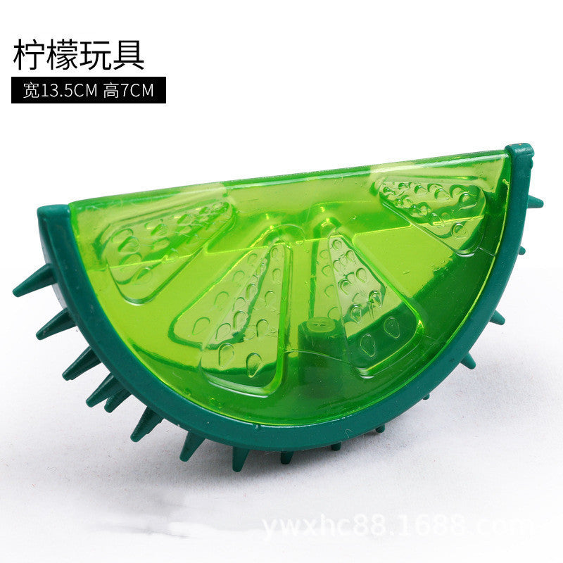 Molar Toy