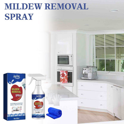 Mold Remover Spray