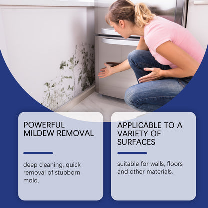 Mold Remover Spray
