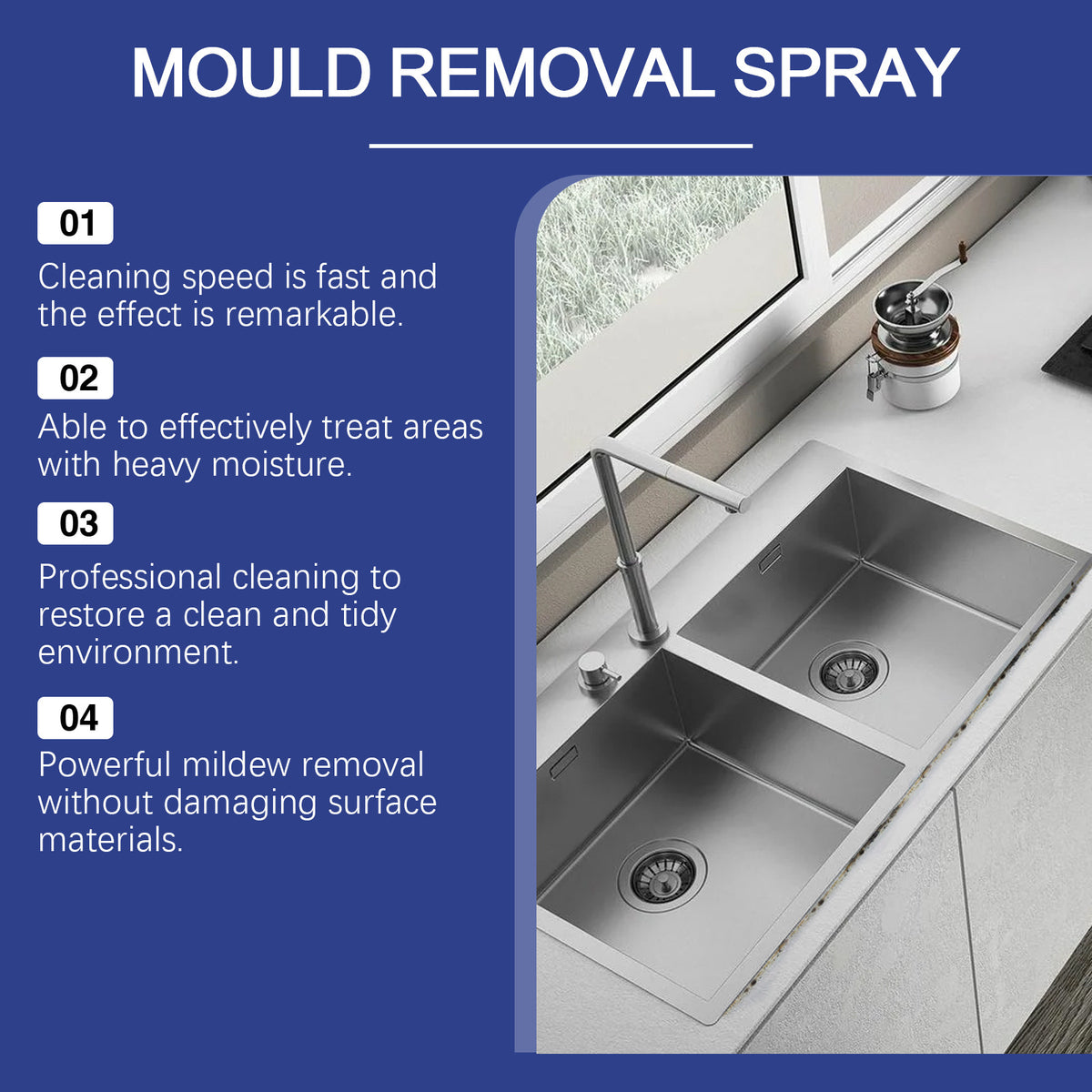 Mold Remover Spray