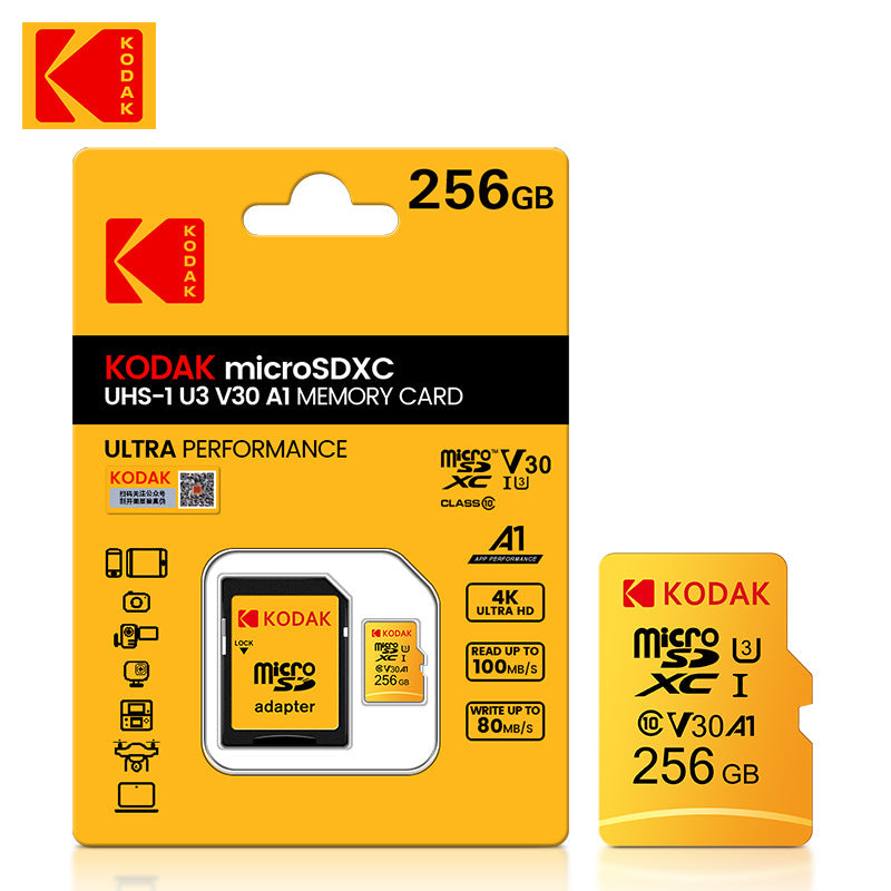 Monitoring Memory Card